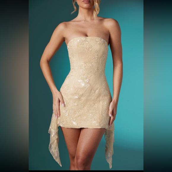 Embellished Lace Bandeau Mini
Dress in Ivory - Picture 2 of 6